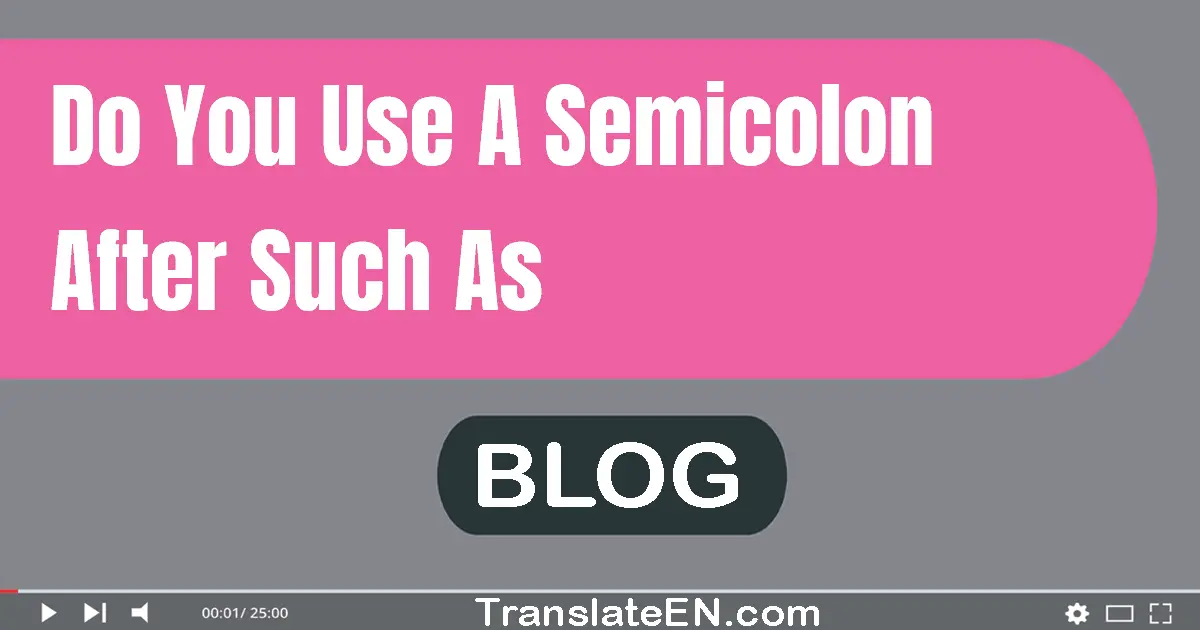 Do you use a semicolon after such as?