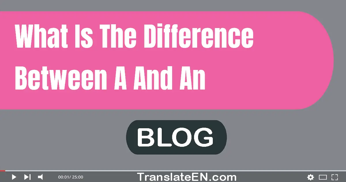 What is the difference between a and an?