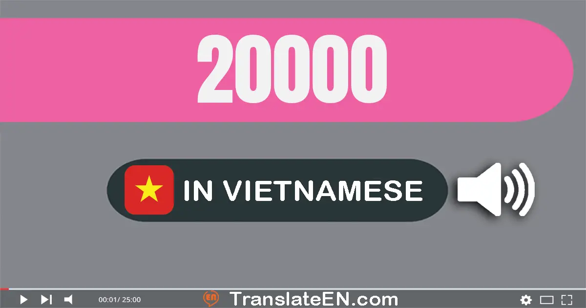 Write 20000 in Vietnamese Words: hai mươi nghìn