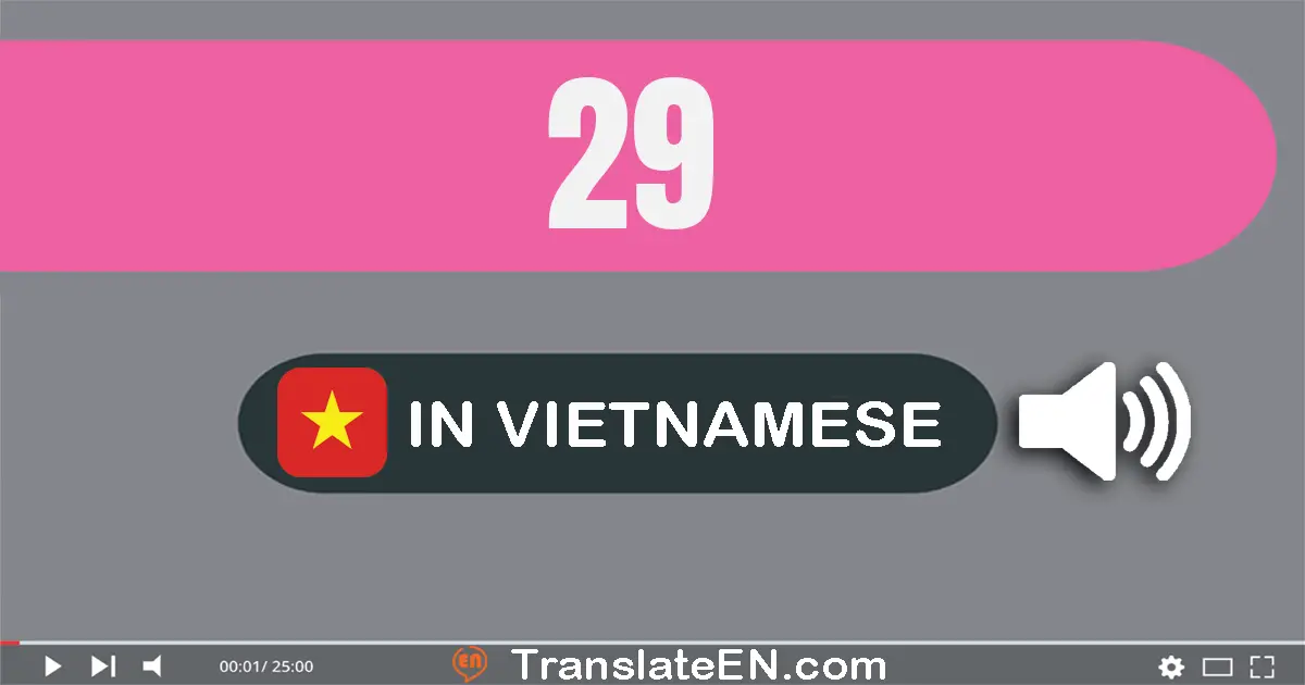 Write 29 in Vietnamese Words: hai mươi chín