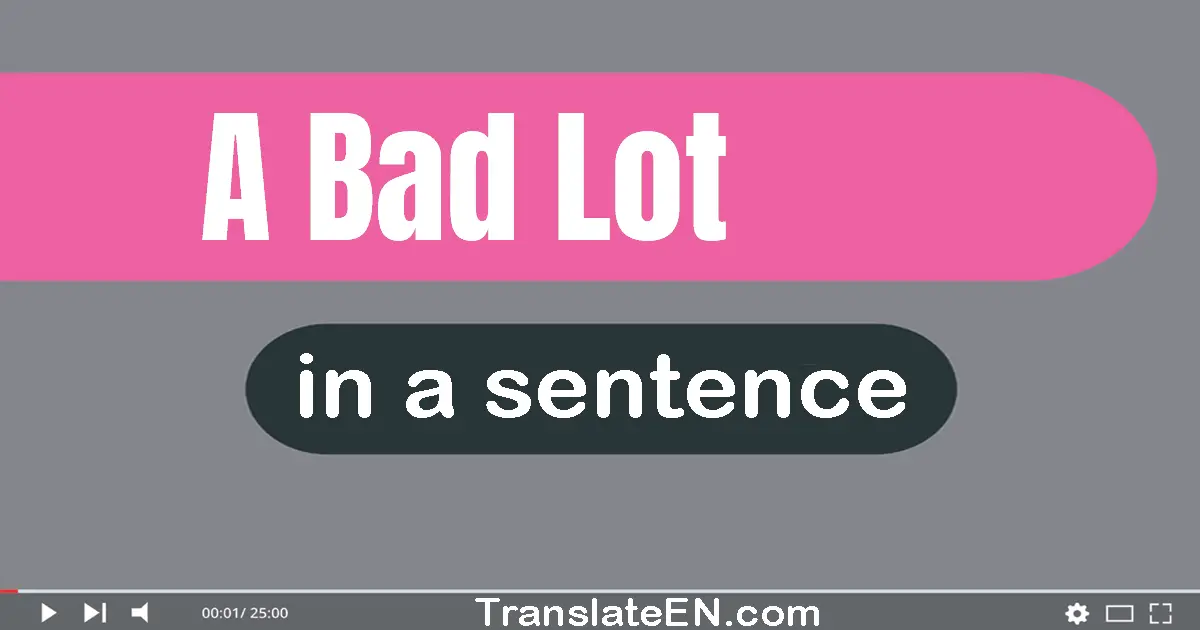 Use "a bad lot" in a sentence | "a bad lot" sentence examples