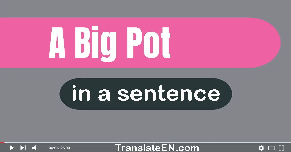 Use "a big pot" in a sentence | "a big pot" sentence examples