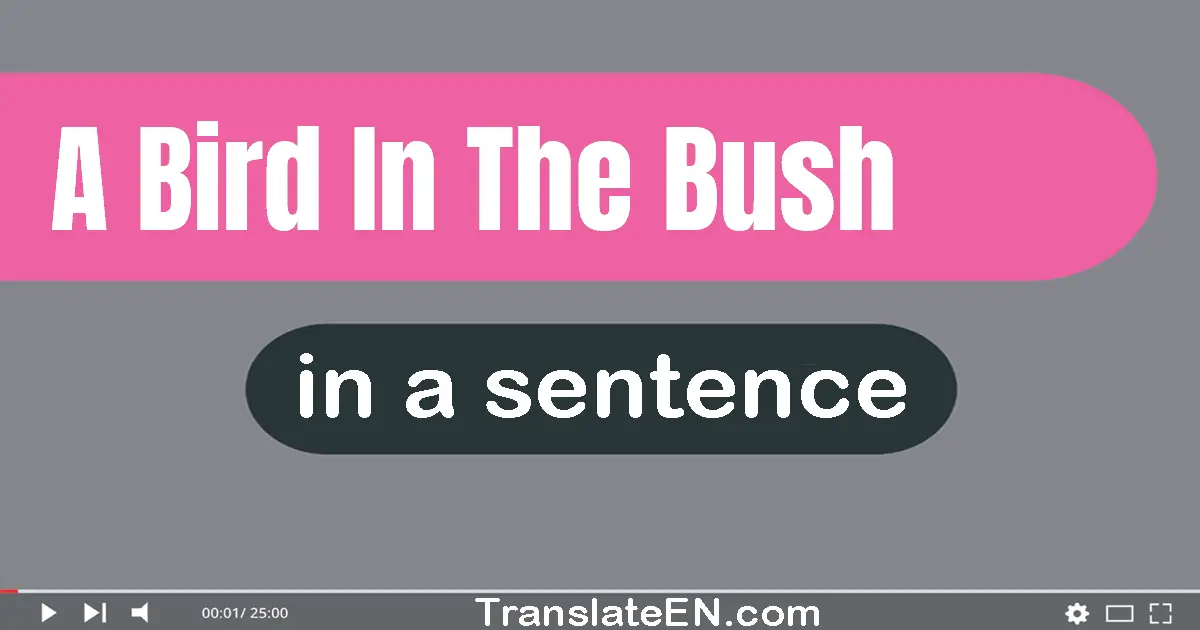 Use "a bird in the bush" in a sentence | "a bird in the bush" sentence examples