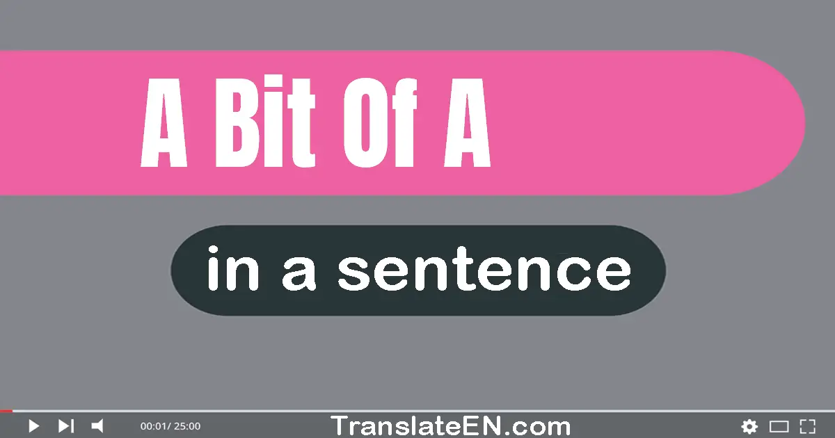 Use "a bit of a" in a sentence | "a bit of a" sentence examples