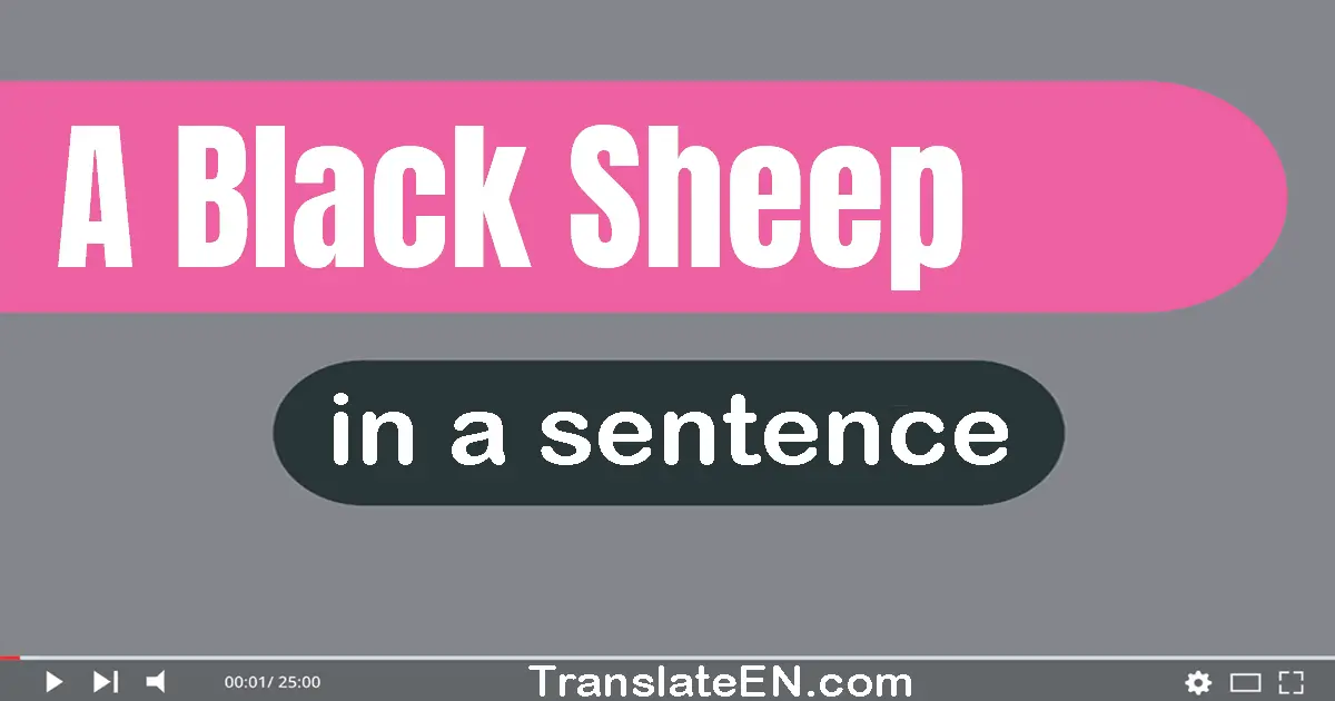 Use "a black sheep" in a sentence | "a black sheep" sentence examples
