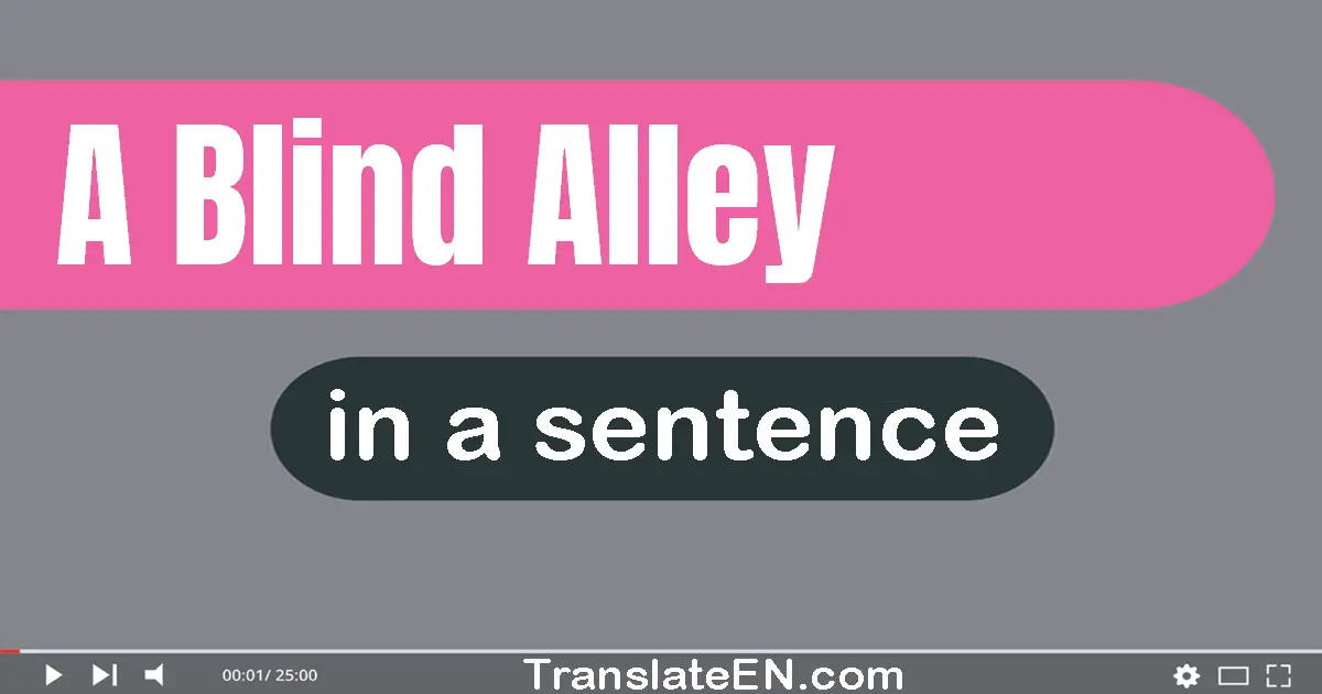 Use "a blind alley" in a sentence | "a blind alley" sentence examples