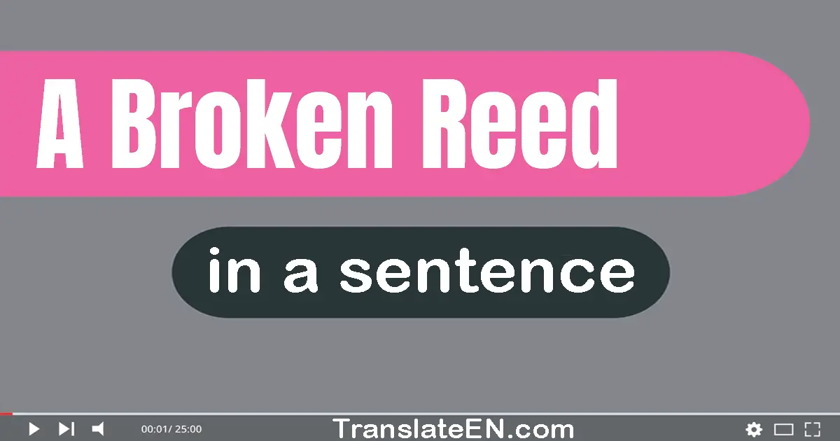Use "a broken reed" in a sentence | "a broken reed" sentence examples