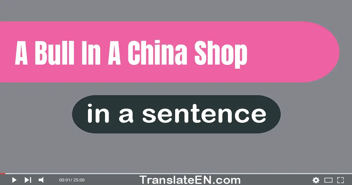 Use "a bull in a china shop" in a sentence | "a bull in a china shop" sentence examples