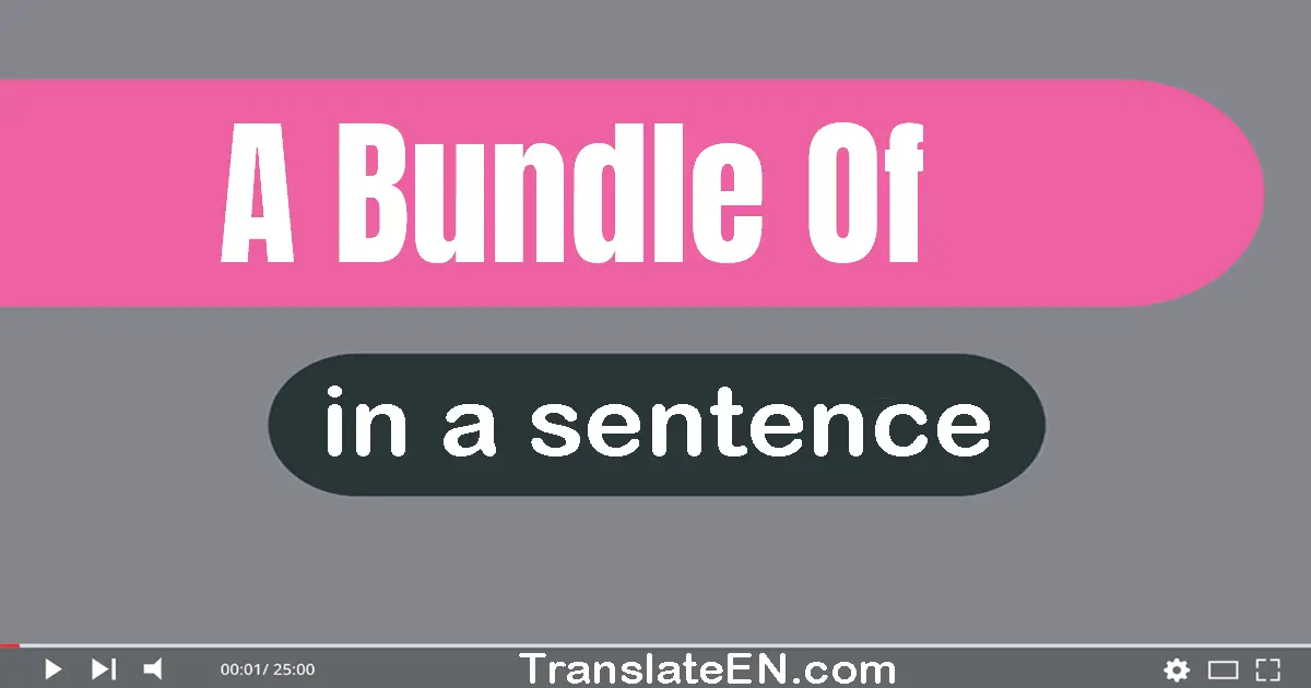Use "a bundle of" in a sentence | "a bundle of" sentence examples