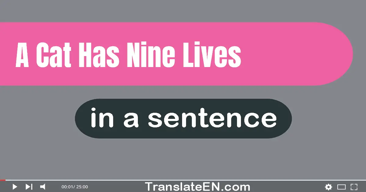 Use "a cat has nine lives" in a sentence | "a cat has nine lives" sentence examples