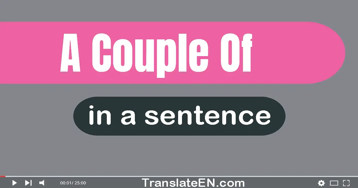 Use "a couple of" in a sentence | "a couple of" sentence examples