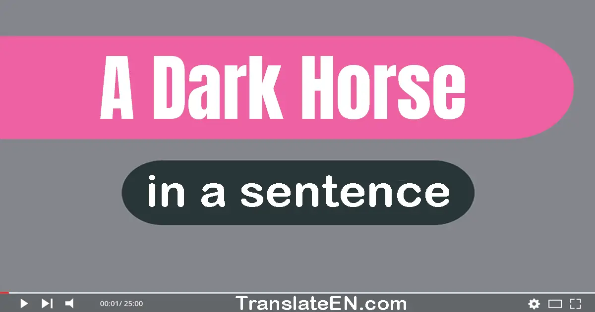 Use "a dark horse" in a sentence | "a dark horse" sentence examples