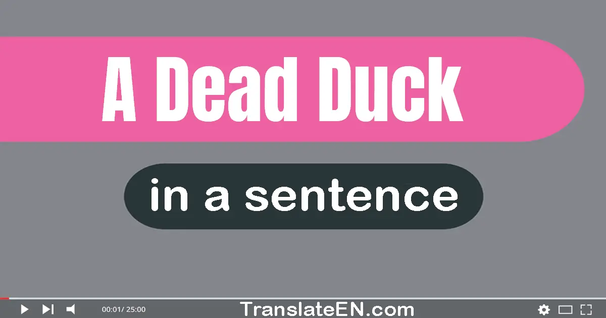 Use "a dead duck" in a sentence | "a dead duck" sentence examples