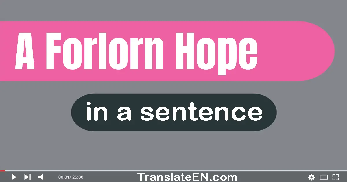 Use "a forlorn hope" in a sentence | "a forlorn hope" sentence examples