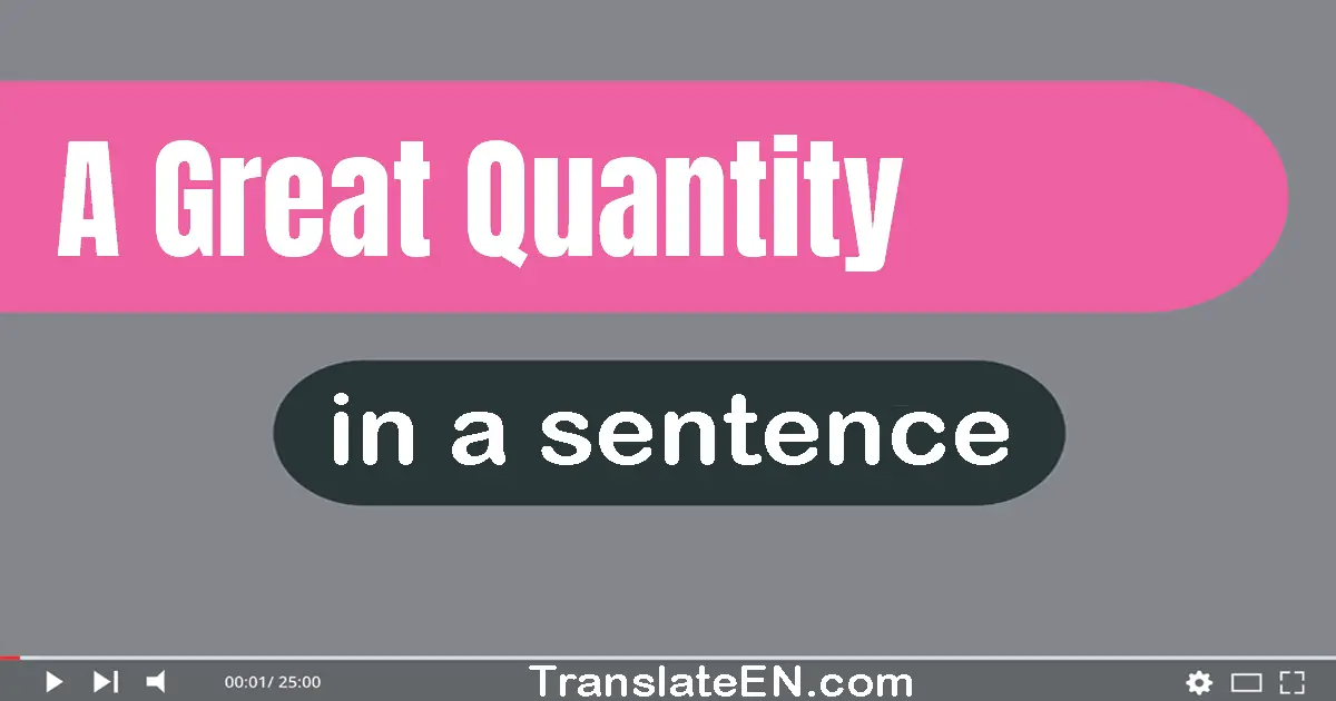 Use "a great quantity" in a sentence | "a great quantity" sentence examples