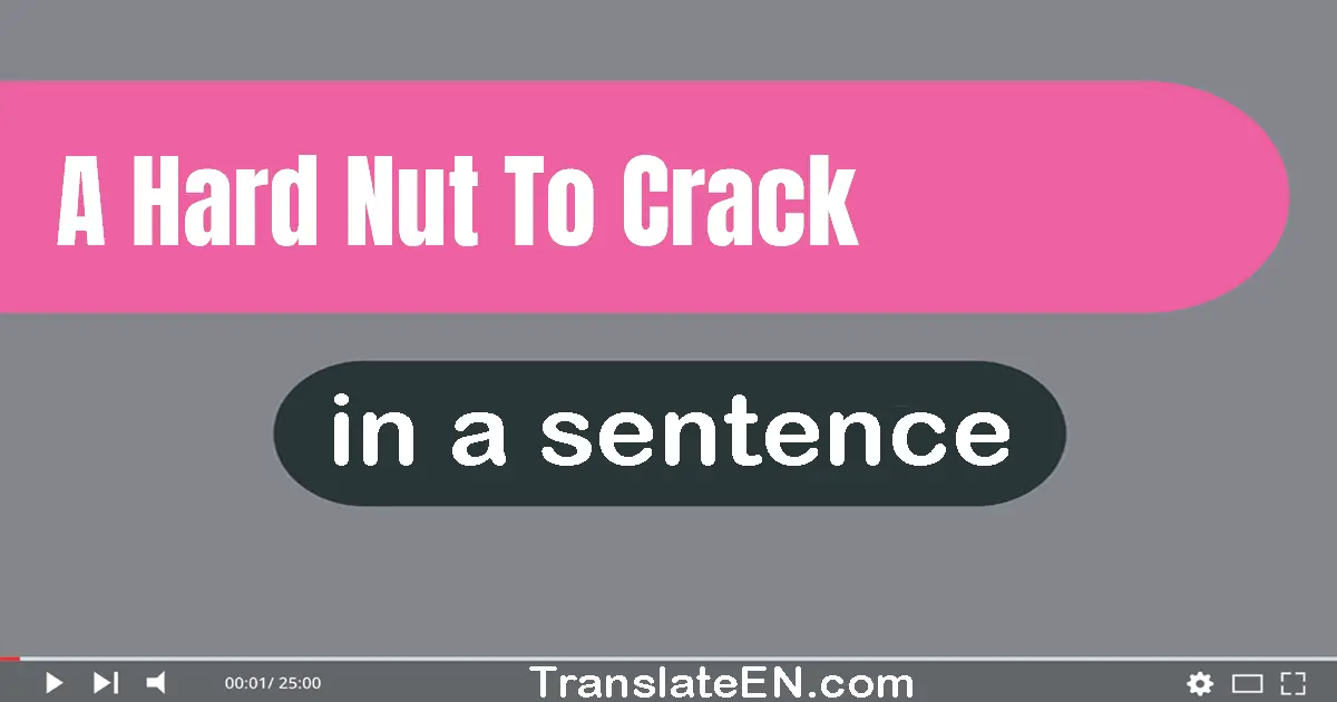 Use "a hard nut to crack" in a sentence | "a hard nut to crack" sentence examples