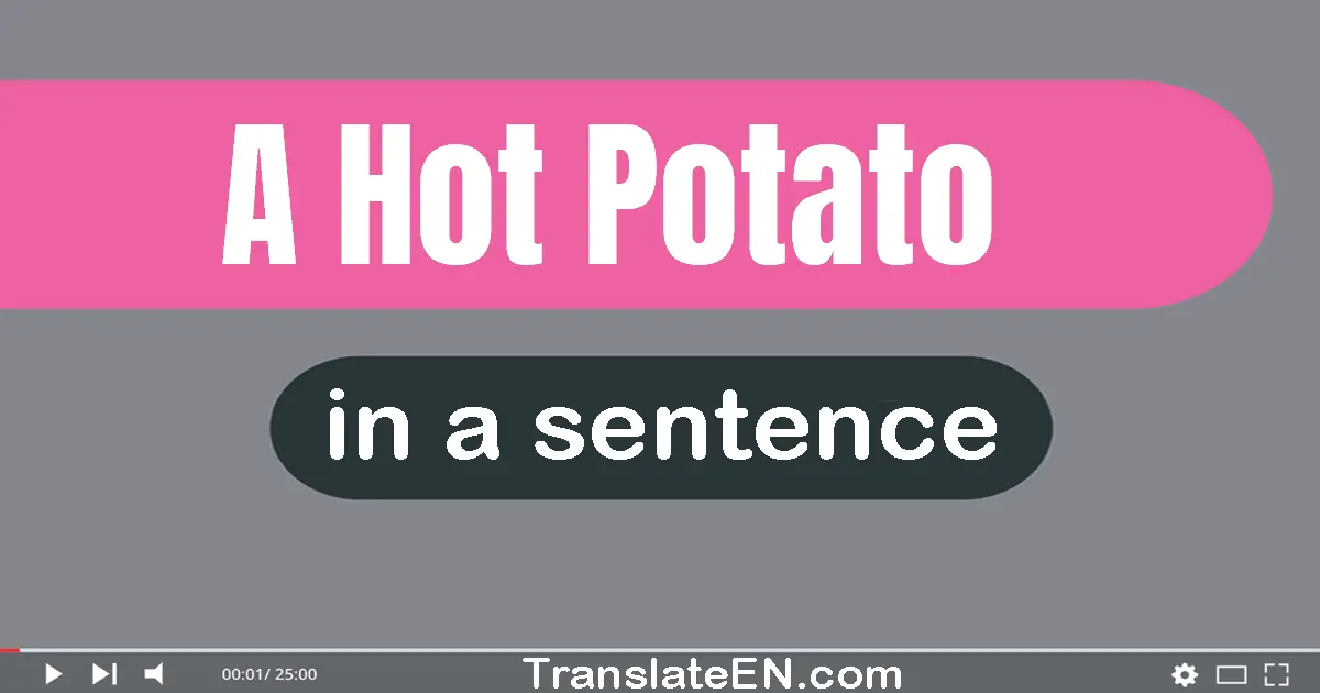 Use "a hot potato" in a sentence | "a hot potato" sentence examples