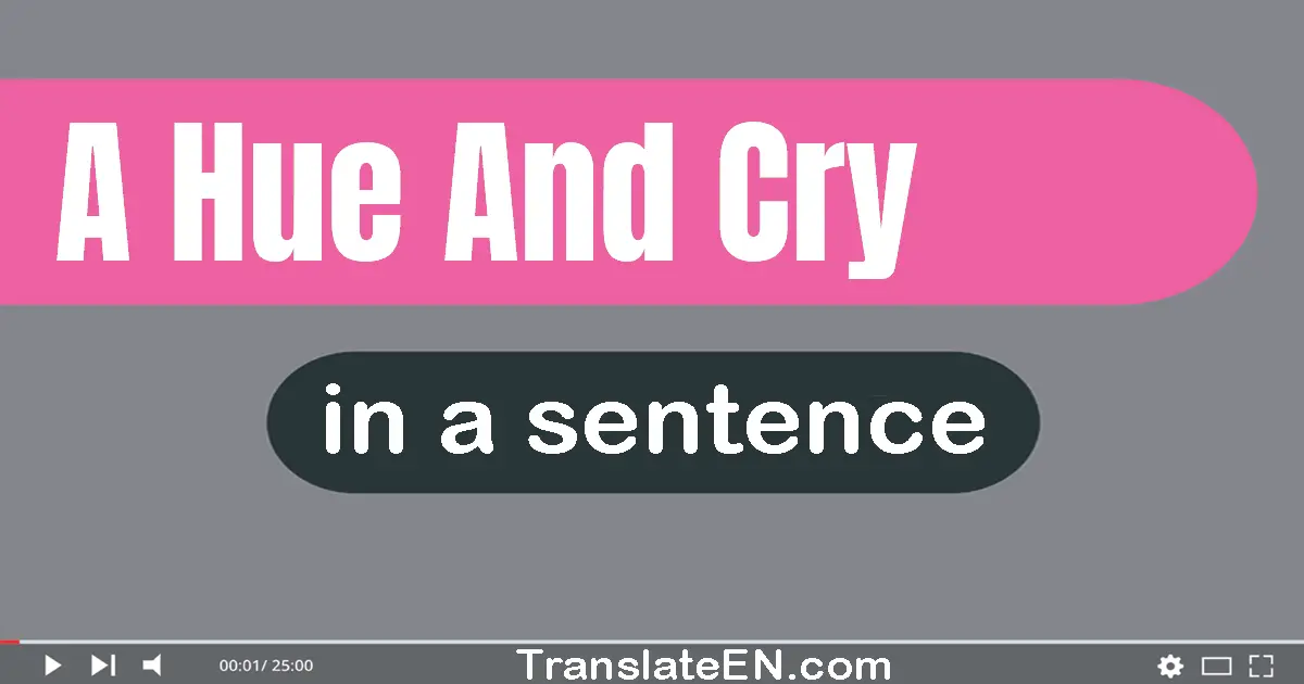 Use "a hue and cry" in a sentence | "a hue and cry" sentence examples