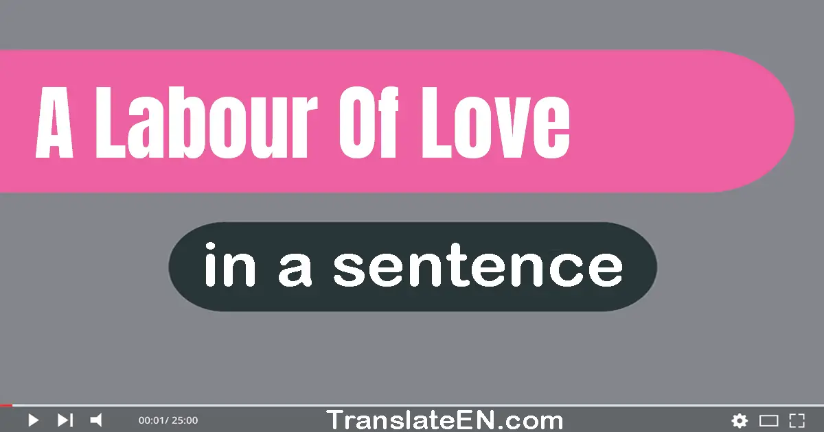 Use "a labour of love" in a sentence | "a labour of love" sentence examples