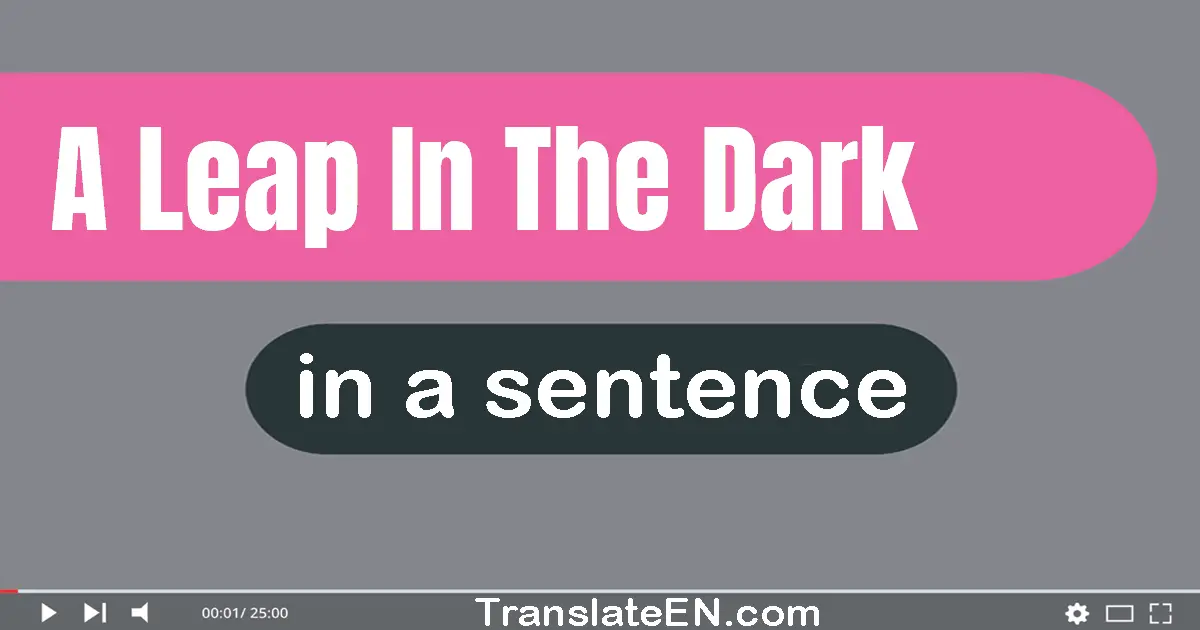 Use "a leap in the dark" in a sentence | "a leap in the dark" sentence examples