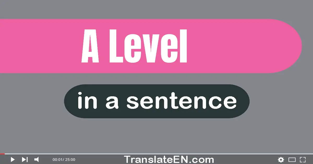 Use "a level" in a sentence | "a level" sentence examples
