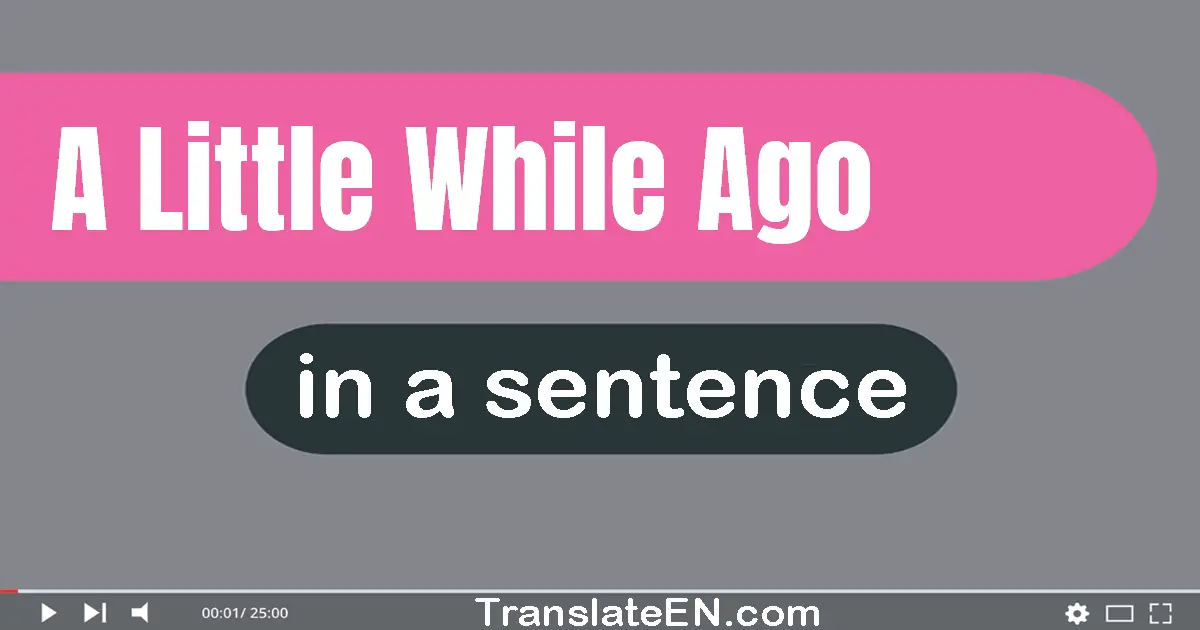 Use "a little while ago" in a sentence | "a little while ago" sentence examples