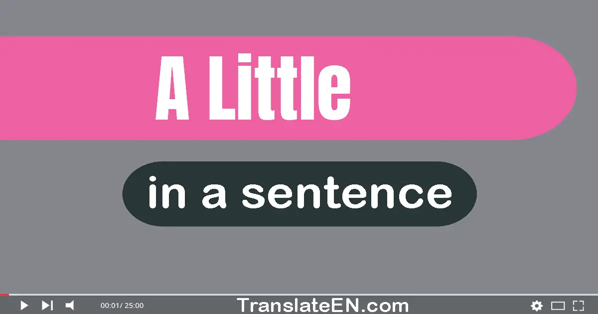 Use "a little" in a sentence | "a little" sentence examples