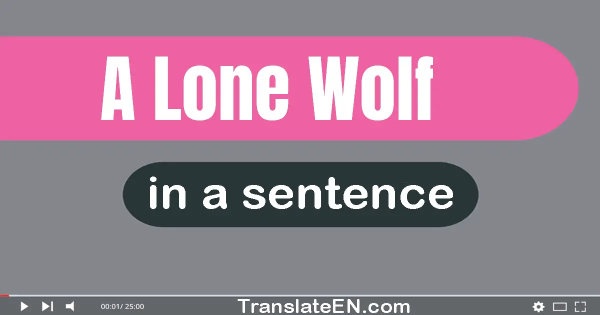 Use "a lone wolf" in a sentence | "a lone wolf" sentence examples