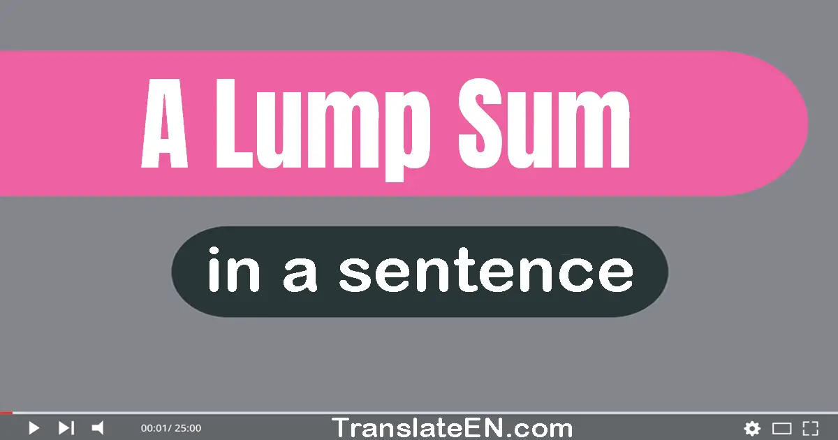 Use "a lump sum" in a sentence | "a lump sum" sentence examples