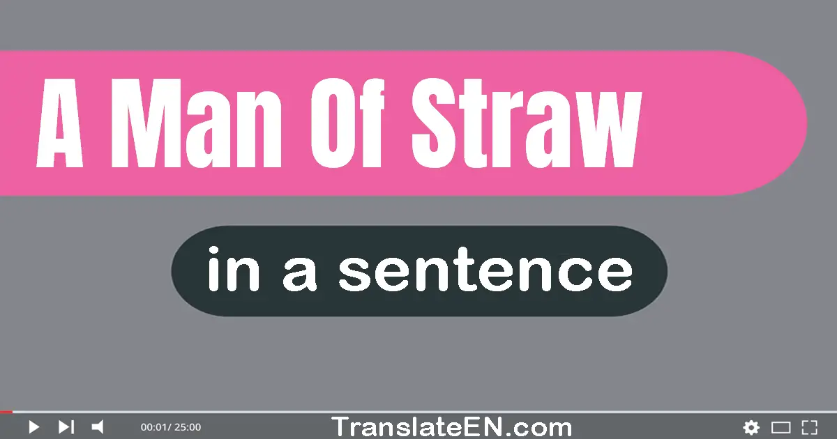 Use "a man of straw" in a sentence | "a man of straw" sentence examples
