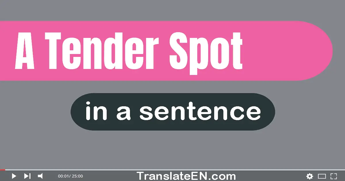 Use "a tender spot" in a sentence | "a tender spot" sentence examples