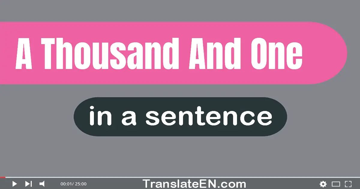 Use "a thousand and one" in a sentence | "a thousand and one" sentence examples