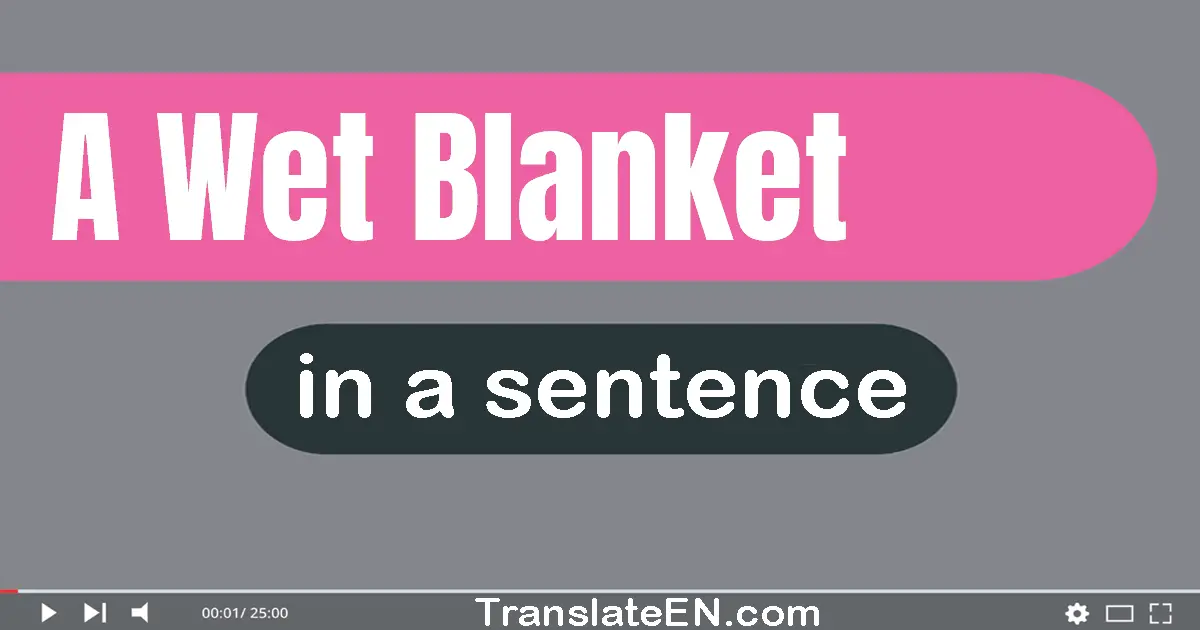 Use "a wet blanket" in a sentence | "a wet blanket" sentence examples