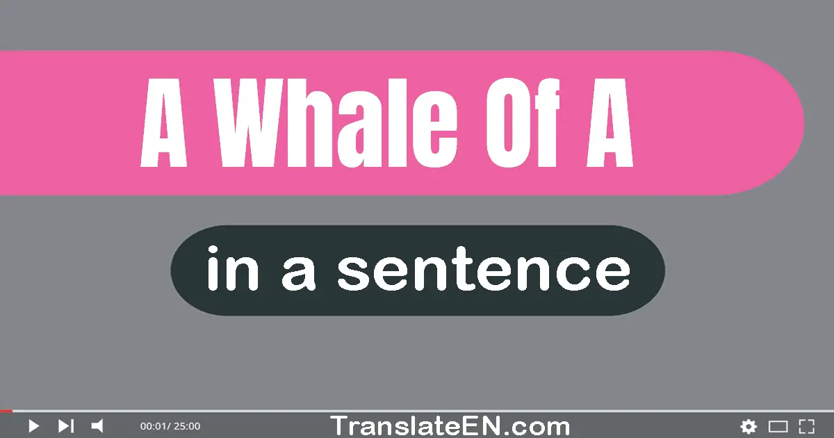 Use "a whale of a" in a sentence | "a whale of a" sentence examples