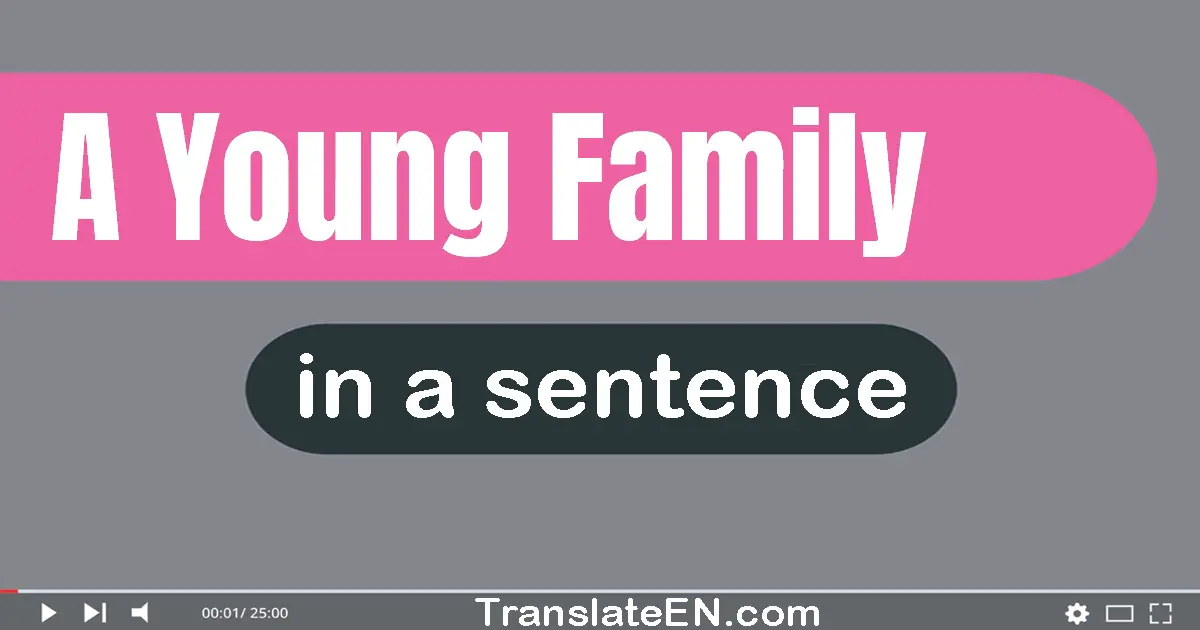 Use "a young family" in a sentence | "a young family" sentence examples