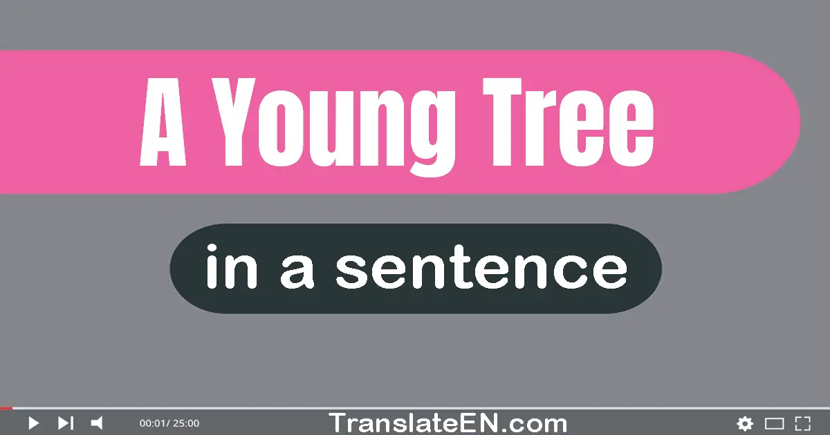 Use "a young tree" in a sentence | "a young tree" sentence examples