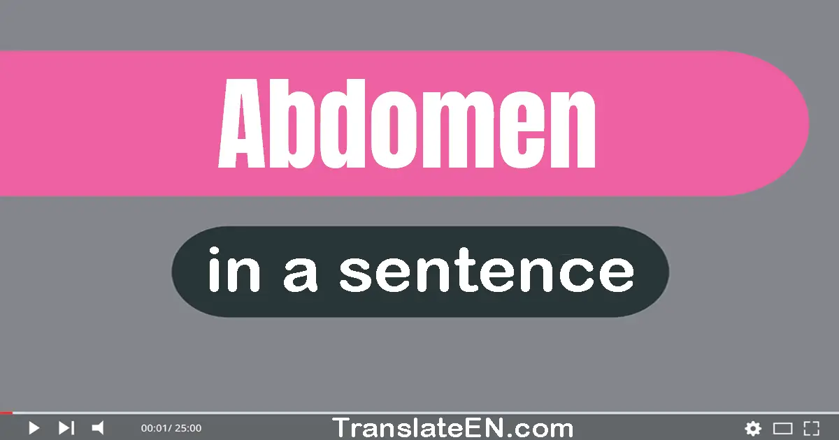 Use "abdomen" in a sentence | "abdomen" sentence examples