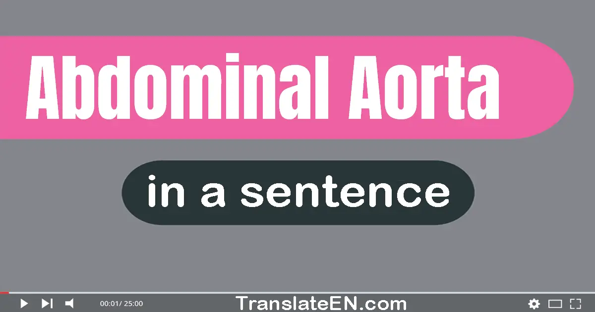 Use "abdominal aorta" in a sentence | "abdominal aorta" sentence examples