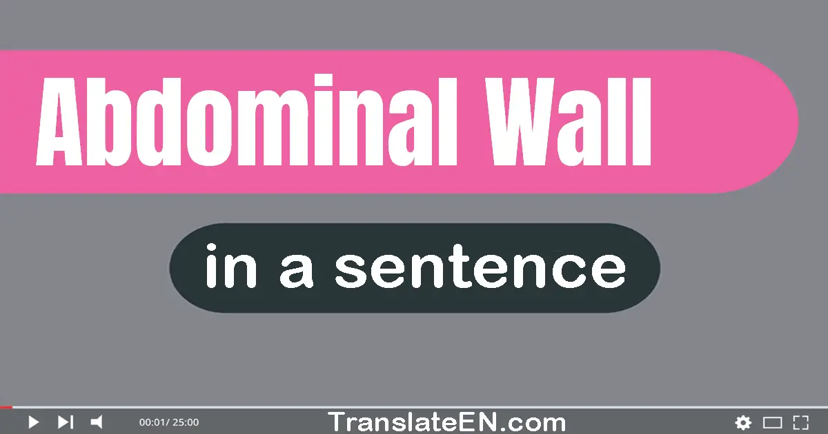 Use "abdominal wall" in a sentence | "abdominal wall" sentence examples