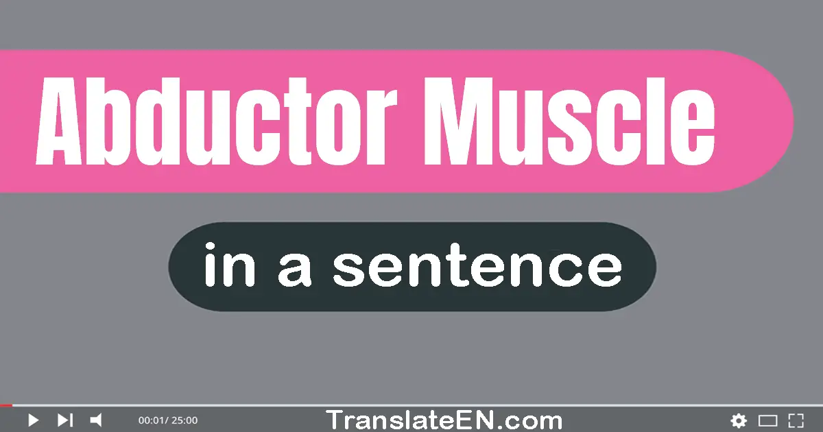 Use "abductor muscle" in a sentence | "abductor muscle" sentence examples