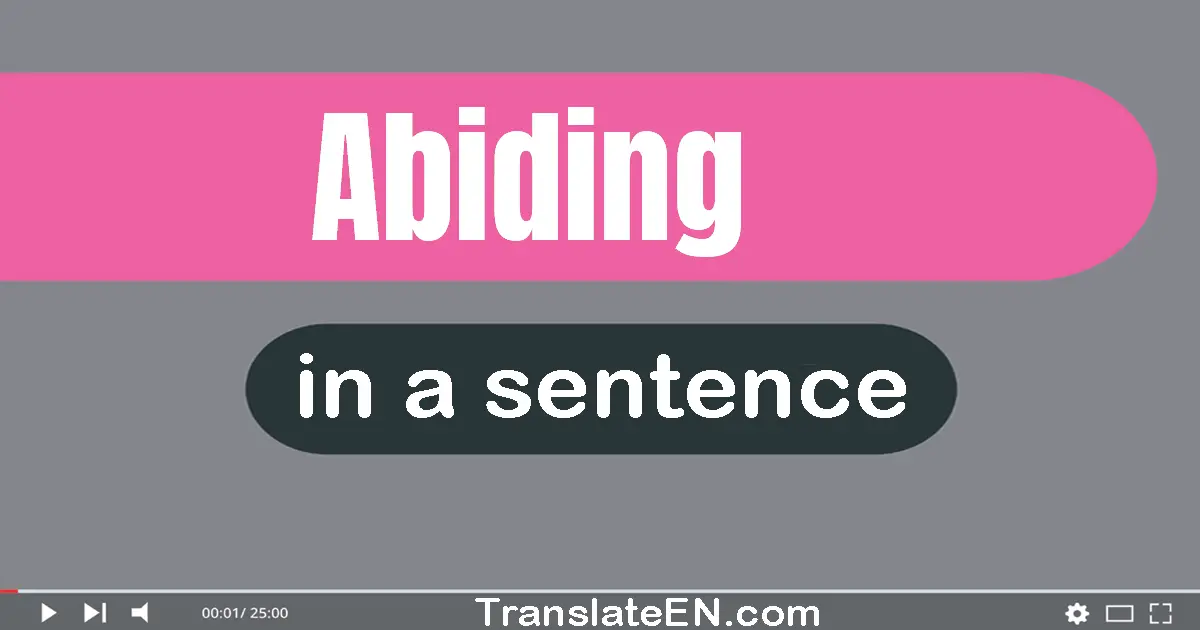 Use "abiding" in a sentence | "abiding" sentence examples