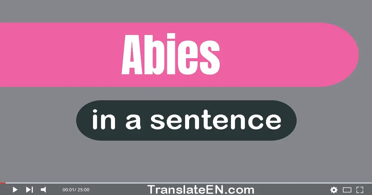 Use "abies" in a sentence | "abies" sentence examples