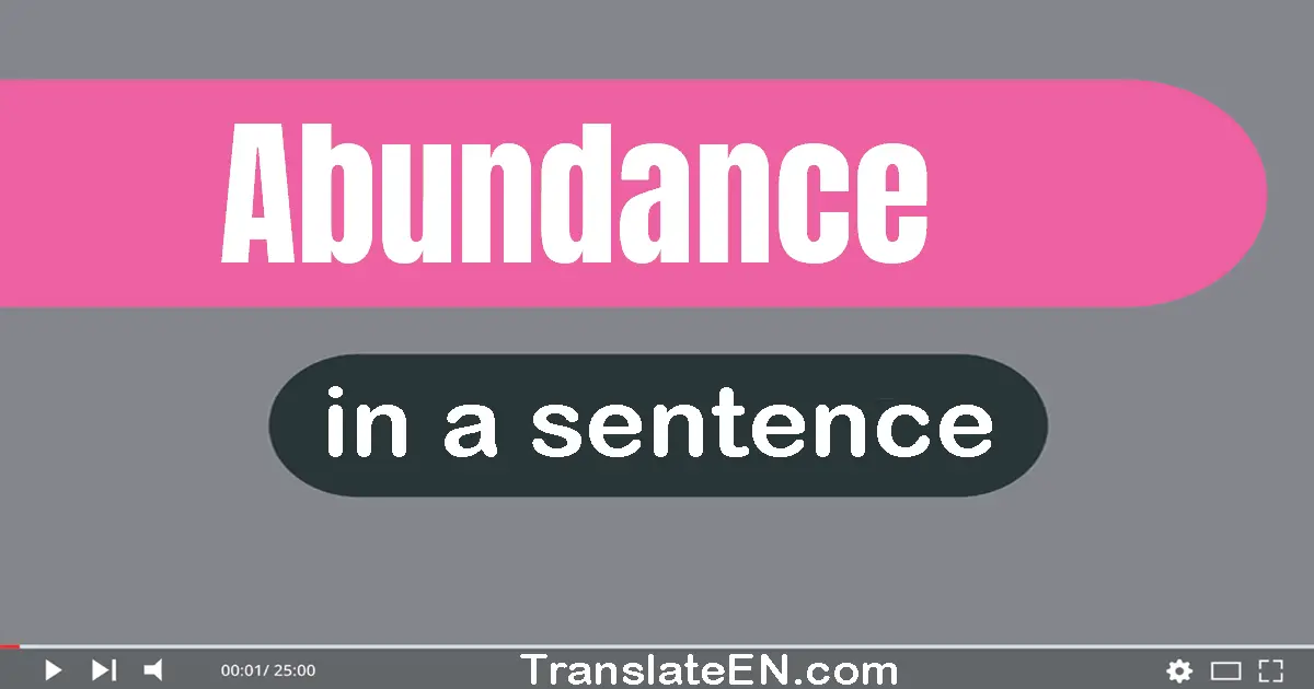 Use "abundance" in a sentence | "abundance" sentence examples