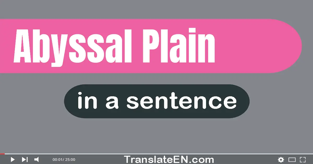 Use "abyssal plain" in a sentence | "abyssal plain" sentence examples