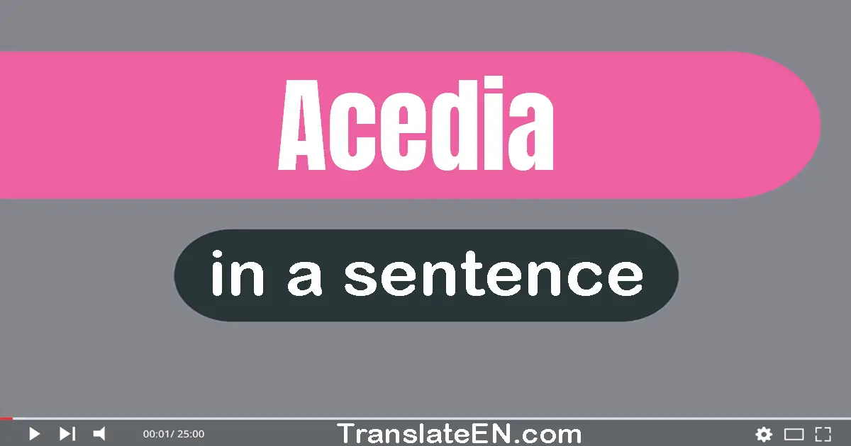 Use "acedia" in a sentence | "acedia" sentence examples