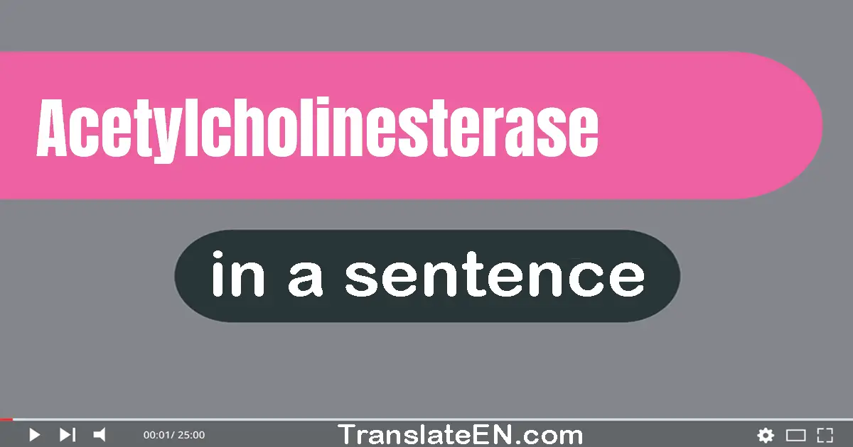 Use "acetylcholinesterase" in a sentence | "acetylcholinesterase" sentence examples