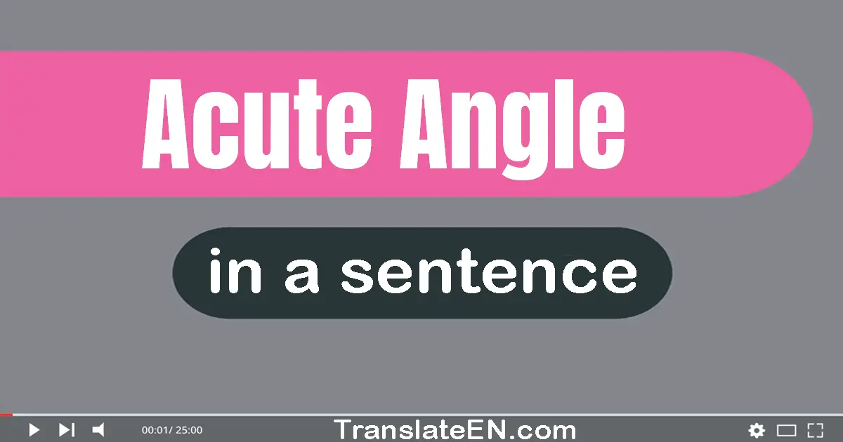 Use "acute angle" in a sentence | "acute angle" sentence examples