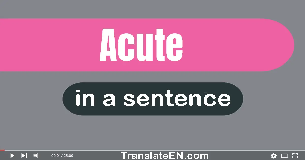 Use "acute" in a sentence | "acute" sentence examples