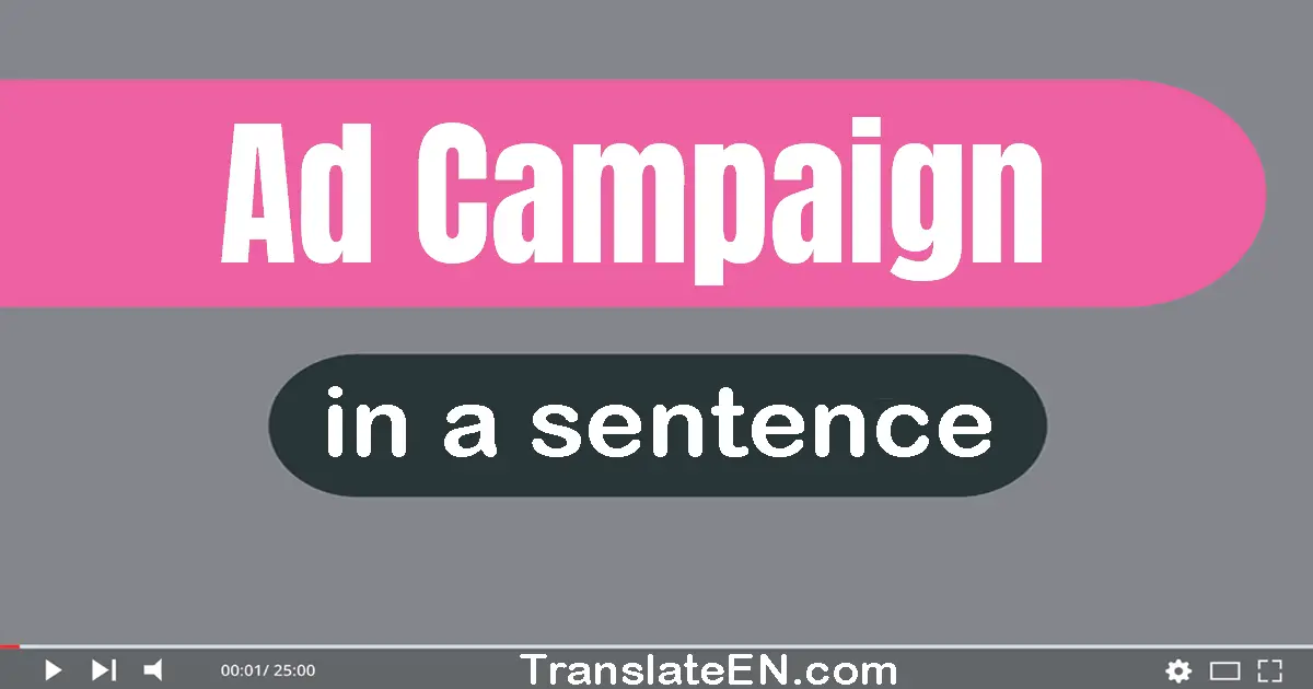 Use "ad campaign" in a sentence | "ad campaign" sentence examples