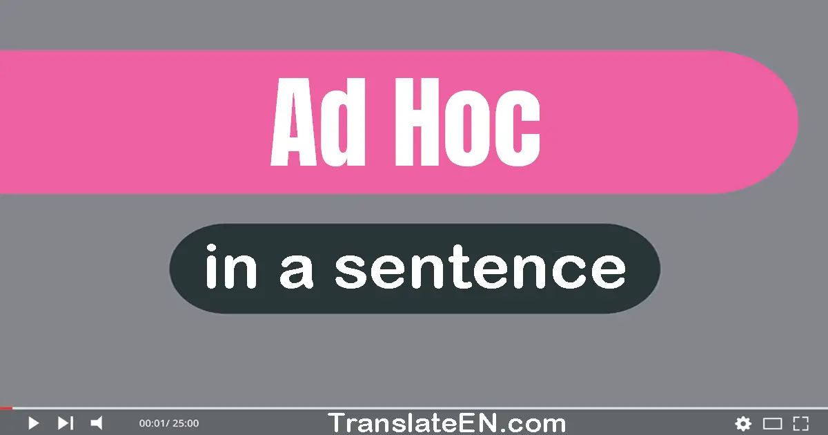 Use "ad hoc" in a sentence | "ad hoc" sentence examples